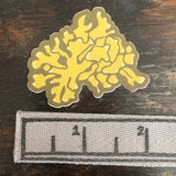 Lichen Sticker