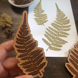 Fern Rubber Stamp Set