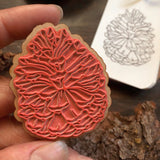 Pinecone Stamp