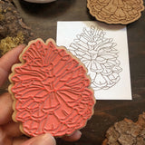 Pinecone Stamp