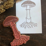 Mushroom Anatomy Stamp