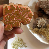 Lichen Rubber Stamp