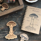 Mushroom Anatomy Stamp