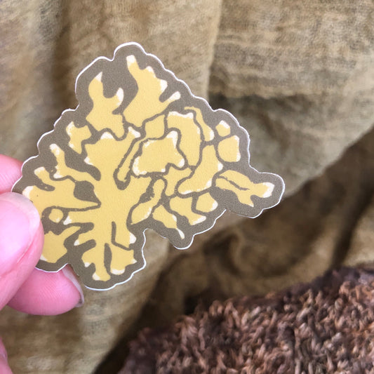Lichen Sticker