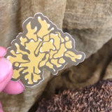 Lichen Sticker