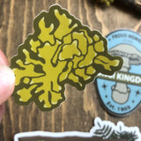 Lichen Sticker